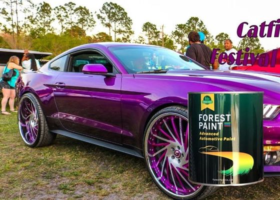 4L Metallic Car Spray Paint Car Lacquer Scratch Repair Chemical Resistant